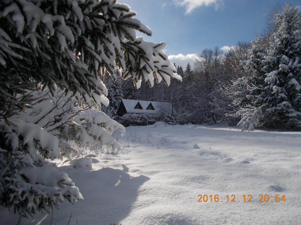 Casa Lacramioara Sîmbăta de Sus Exterior foto